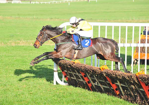 The Kings Baby (Donie McInerney) throws a fine jump at the last