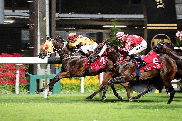 Gold Land (No. 4) held off Dr Win Win to win a Class 3 event on his penultimate start.