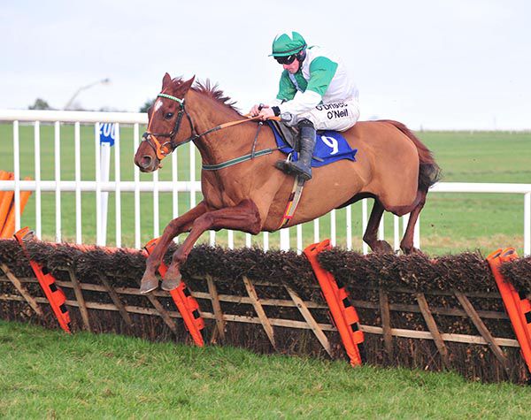 Oatfield Rose is clear at the last for Sean Flanagan