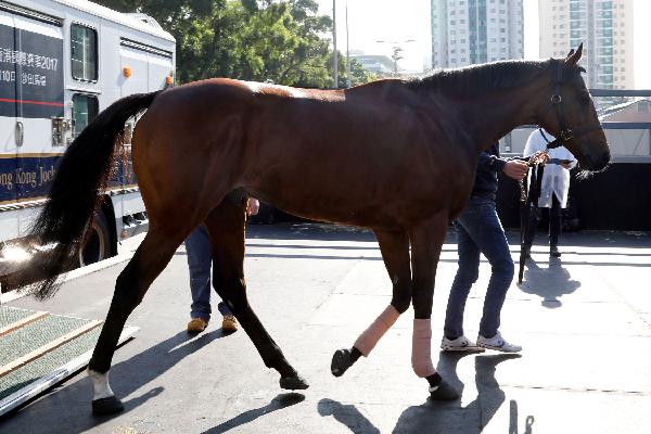 Highland Reel      