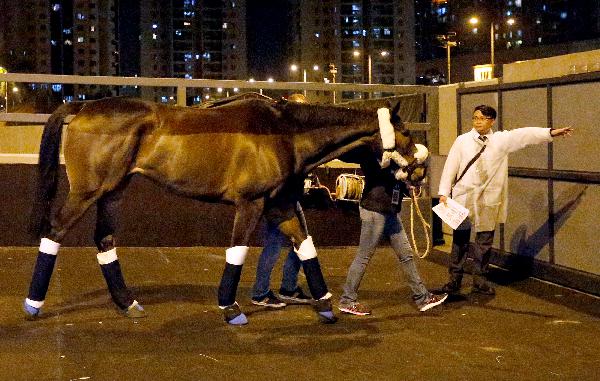 The Tin Man in Hong Kong