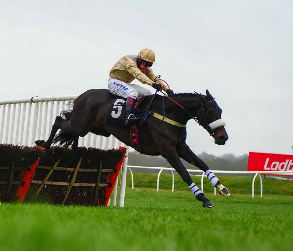 Dame Rose pictured on her way to victory at Newbury on Saturday