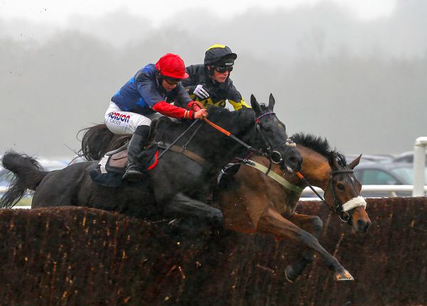 Elegant Escape (noseband)