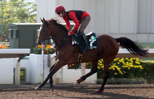  Highland Reel working this morning