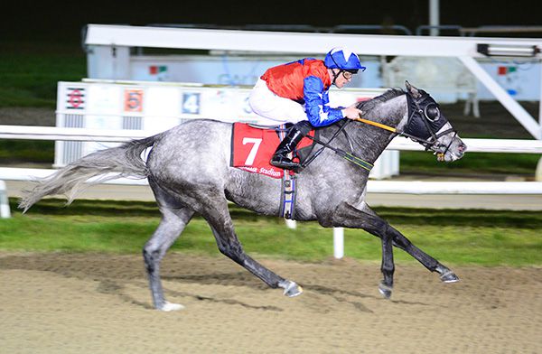 Rock On Dandy and Padraig Beggy winning at Dundalk