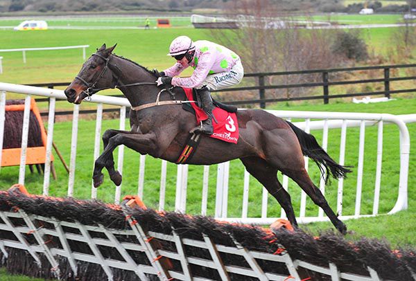 Getabird and Paul Townend in full flight