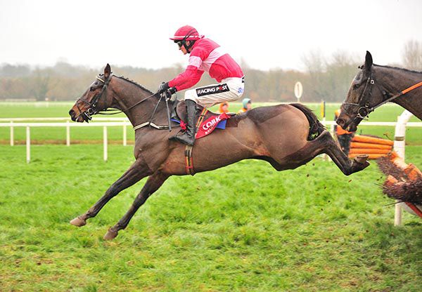 Fabulous Saga and Danny Mullins pictured on their way to victory