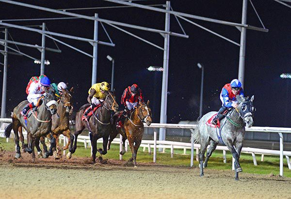 Rock On Dandy storms to another polytrack victory 