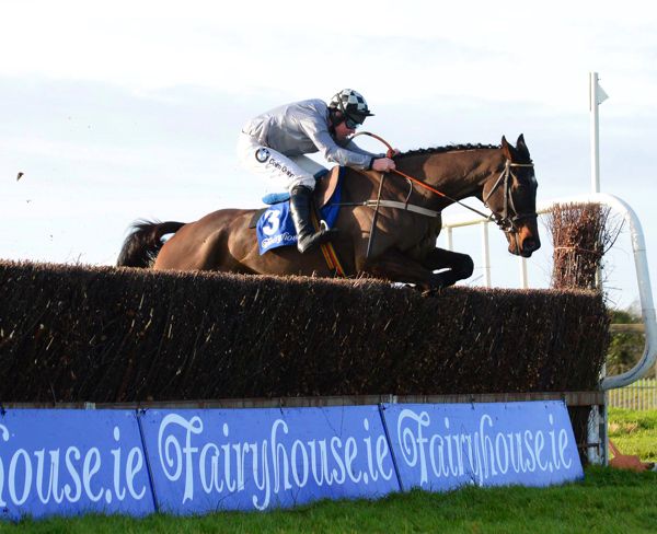 Castlegrace Paddy seen here under Andrew Lynch