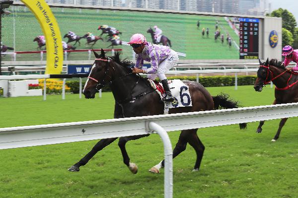 The Ricky Yiu-trained Alcari won comfortably his debut in October.