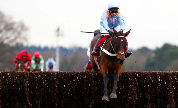 Divine Spear winning at Ascot