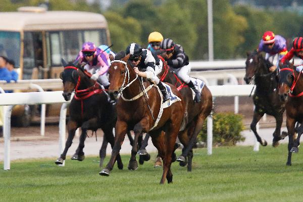 Exultant (Irishcorrespondent) winning this morning
