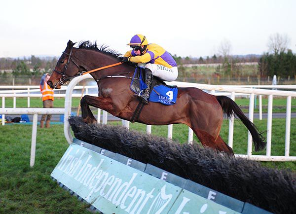 Monotype and Donal McInerney jump the last
