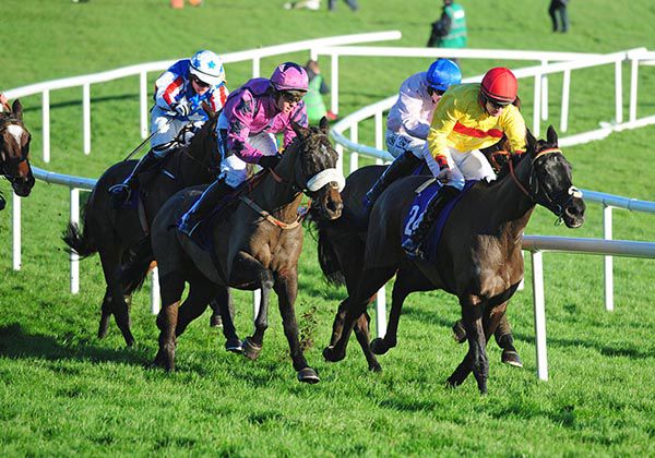 Mine Now (nose band) is about to strike the front on the home bend