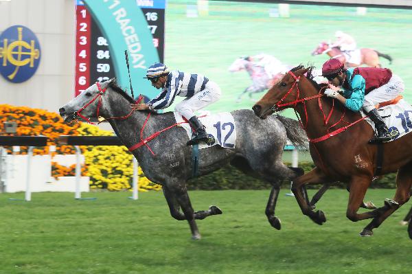 Fifty Fifty (No.12) holds on to win the G3 Chinese Club Challenge Cup.