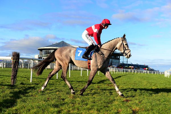 Duc Des Genievres 