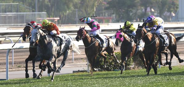 Pingwu Spark (grey horse) makes it three in a row.