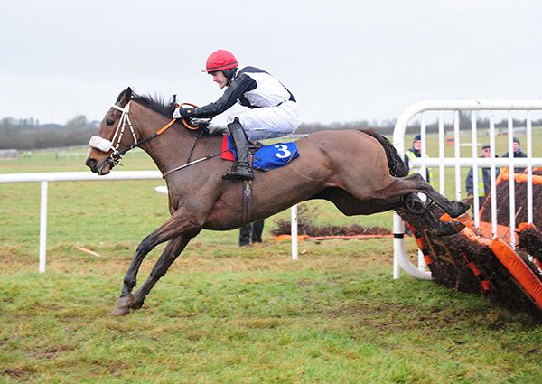 Knockraha Pylon (Finny Maguire) winning at Thurles earlier this year