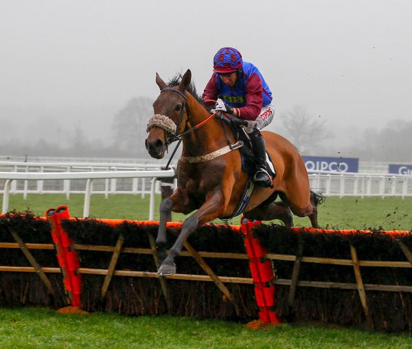 La Bague Au Roi pictured in action over hurdles 
