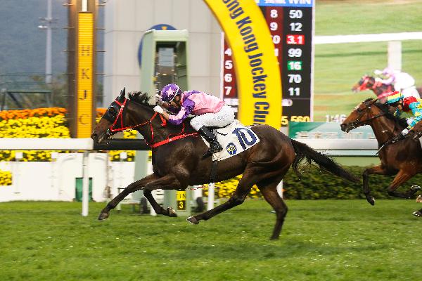 Prawn Baba opened his Hong Kong account in a Class 2 event last season.