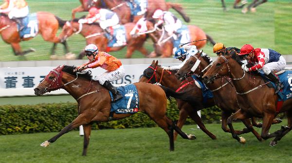 Helene Paragon lands the 2017 Stewards' Cup.