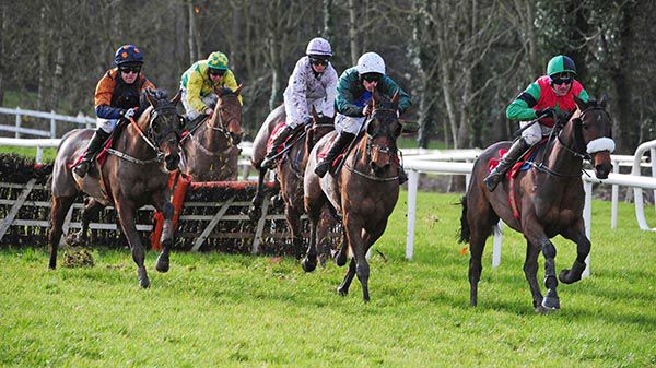 Wings Like Arion leads