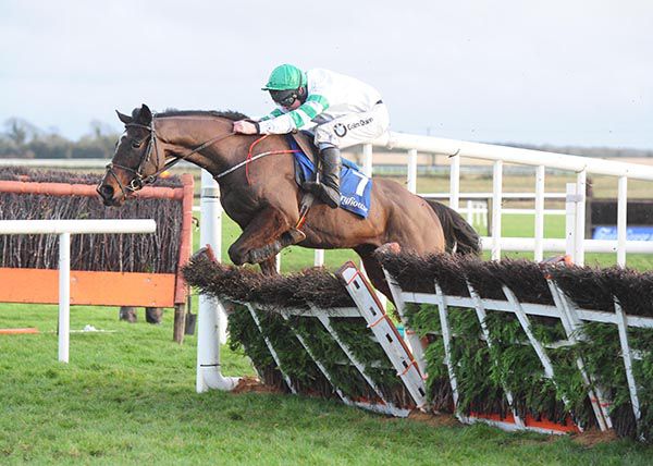 Maeve's Choice and Andrew Lynch