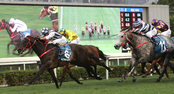 Seasons Bloom (No 6) and Joao Moreira win the G1 Stewards Cup