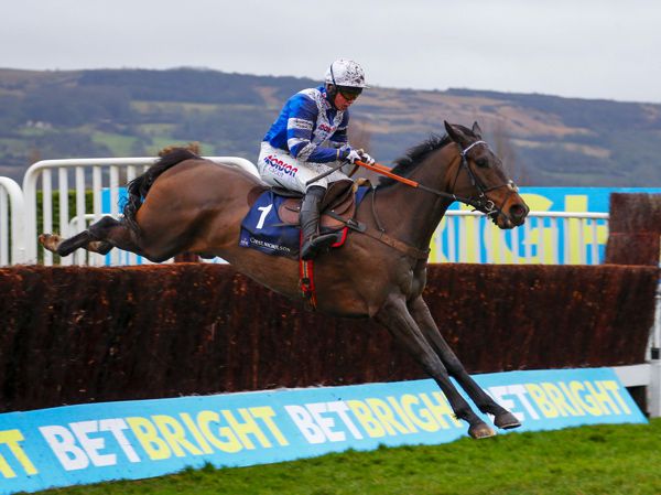 The Paul Nicholls-trained Frodon