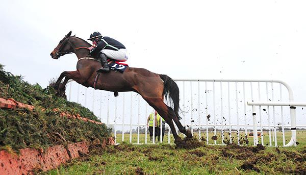 Hawk Eye Down and Donagh Meyler clear the last