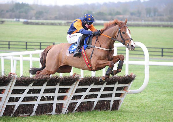 Best Behavior and Mark Walsh