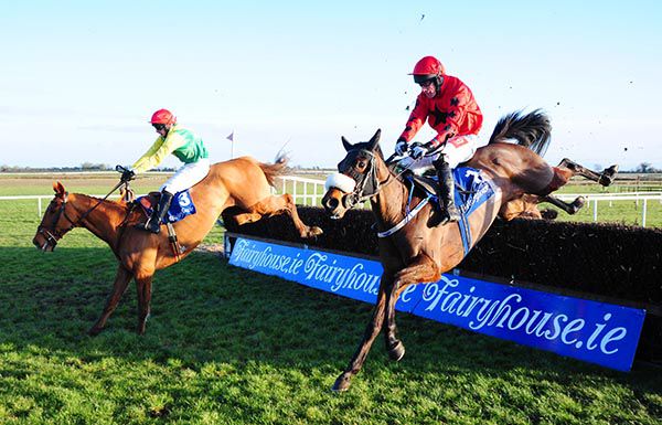 Allannahs Gold (right) and Sizingdowntherhine jump the last together