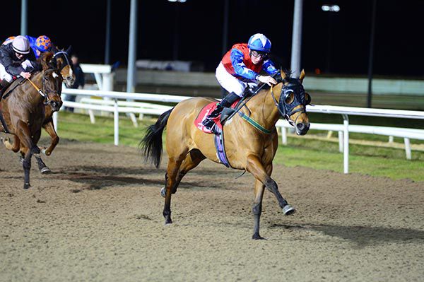 California Lad impressed in the finale at Dundalk under Ross Coakley