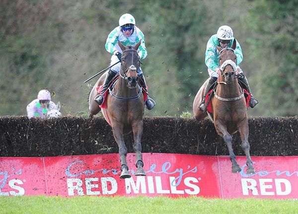Presenting Percy (right) finished 2nd to the ill-fated Our Duke in last year's Red Mills
