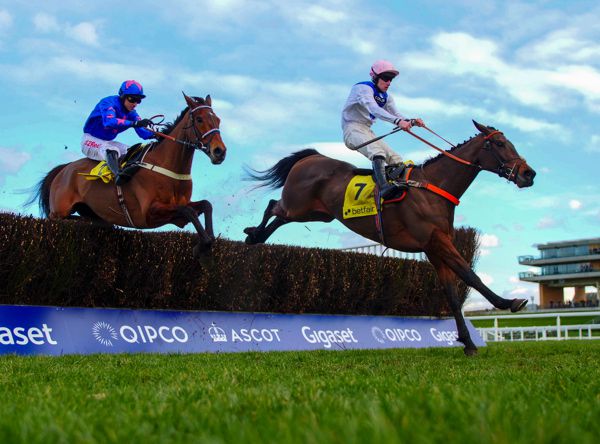 Waiting Patiently beating Cue Card in last year's Betfair Ascot Chase