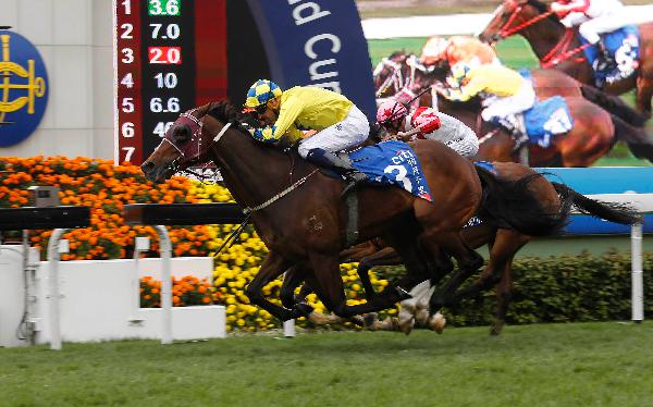 Werther wins the 2017 Citi Hong Kong Gold Cup