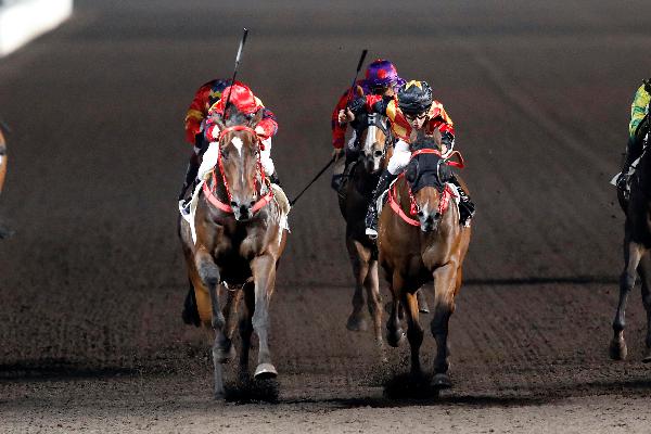 Travel Emperor (left) scores his second win in the Shing Yip Handicap.