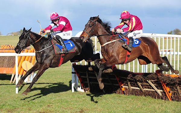 The Conditional (nearside) seen here winning at Thurles