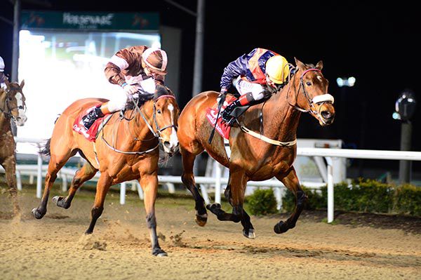Nivvo (noseband) and Pat Smullen get the better of Flawlessly and Ronan Whelan