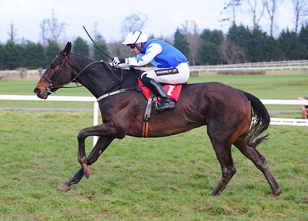 Derby (Patrick Mullins) completes a five-timer for Willie Mullins at Gowran Park