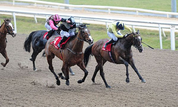 Elishpour (yellow) stays on best under Billy Lee to beat Financial Conduct and Shane Foley