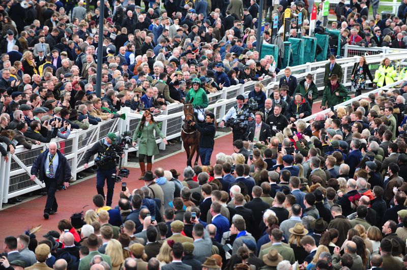 Footpad returns victorious at Cheltenham