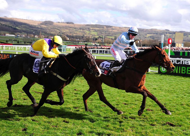 Kalashnikov pictured finishing second to Summerville Boy at Cheltenham in March