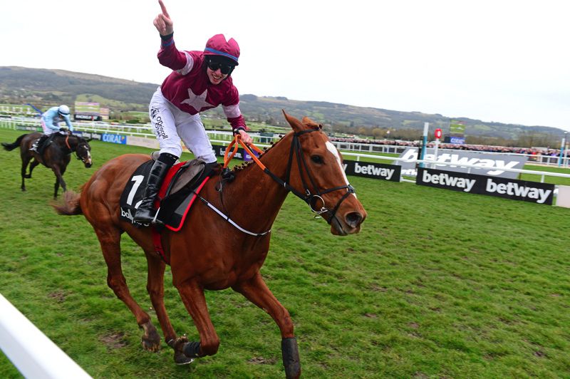 Samcro could be back at Cheltenham in March