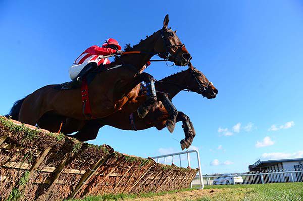 Young Paddymc, near side, jumps the fourth hurdle