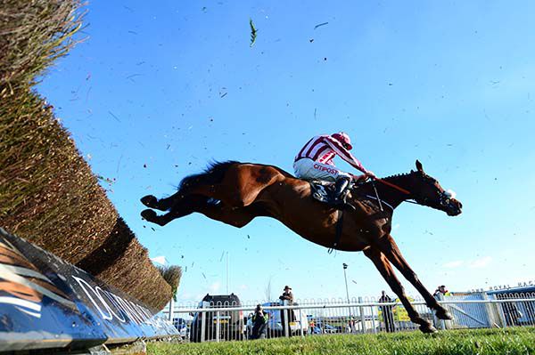 Mala Beach and Davy Russell land over the last fence 