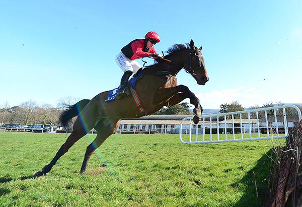 Shimmer's Rock and Adam Short pictured on their way to victory