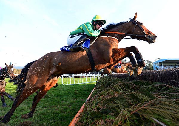 Betterthanalright and Danny Mullins pictured on their way to victory