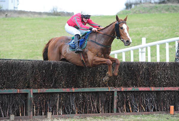 Cappacurry Zak and Ryan Treacy 