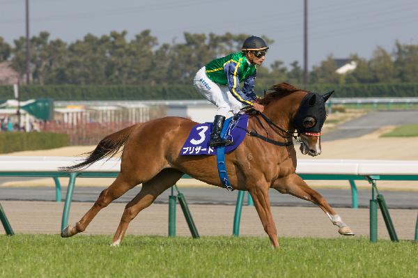 Blizzard heads to the start of the Takamatsunomiya Kinen.